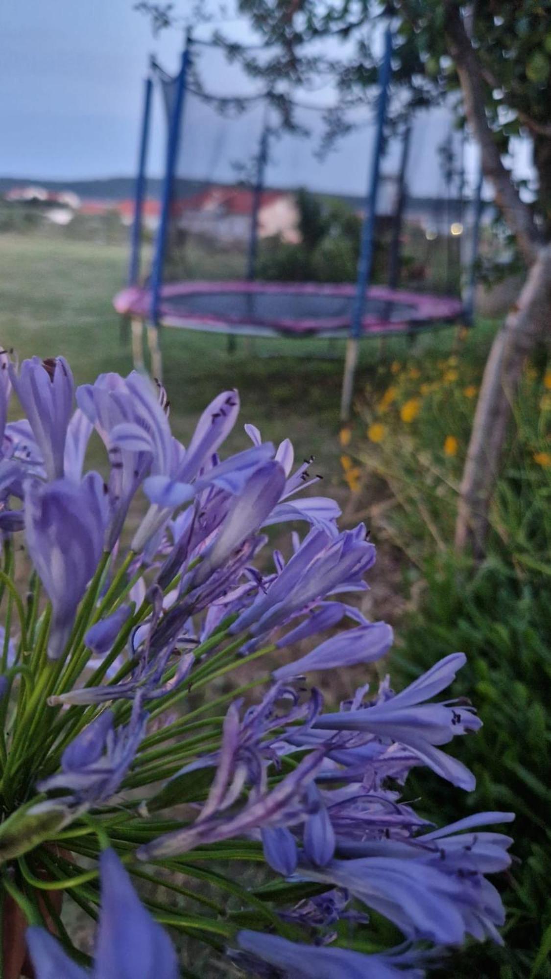 Apartments Manuel Banjol エクステリア 写真